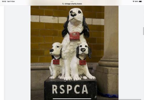 558959845_10230743756758579_275372968941767383_n