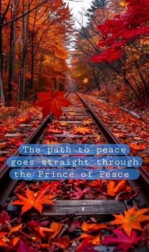 19667cf7-b862-4ecf-86ff-c1c17e985c46