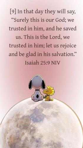 9cd8e913992ccc1ce28d09d254f8b972