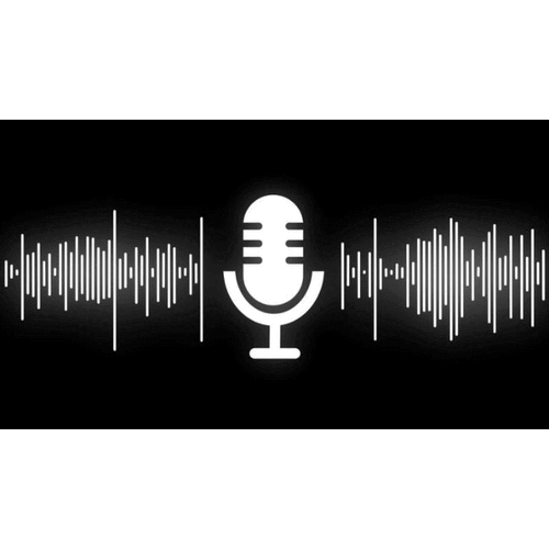 Biometrics Voice Recognition