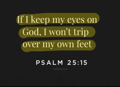 IMG_20251124_194329_284