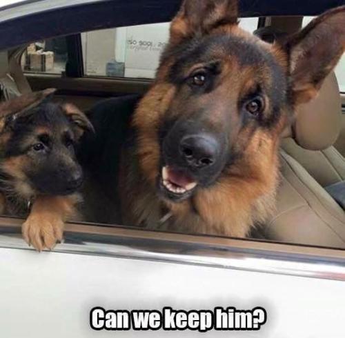 a544273649d2e2aa76829216760d2b38