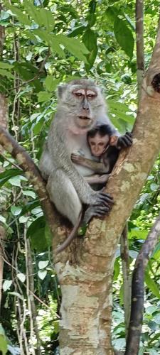 Screenshot_2025-11-07-09-16-54-21_99c04817c0de5652397fc8b56c3b3817