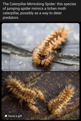 580399077_25422972513993137_595183240144389101_n