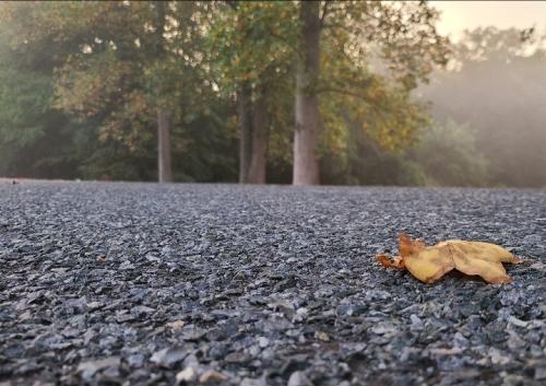 Screenshot_20251115_084921_Gallery