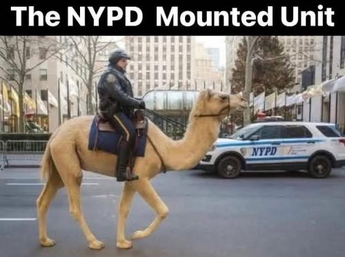 nypd