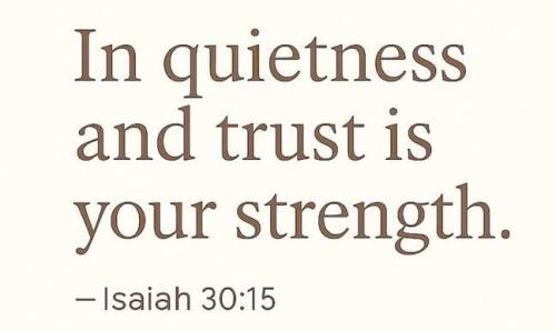 IMG_20251127_183537_589