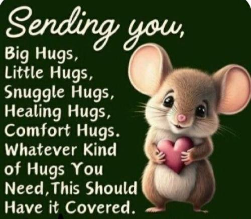 b047b3bee3461605c92f1f7b24f0cd40