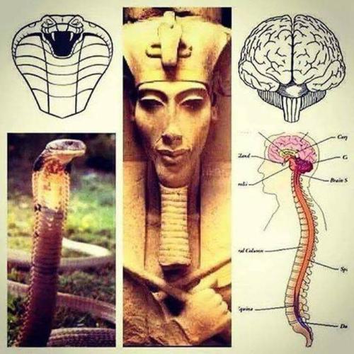 FB_IMG_1752546675939