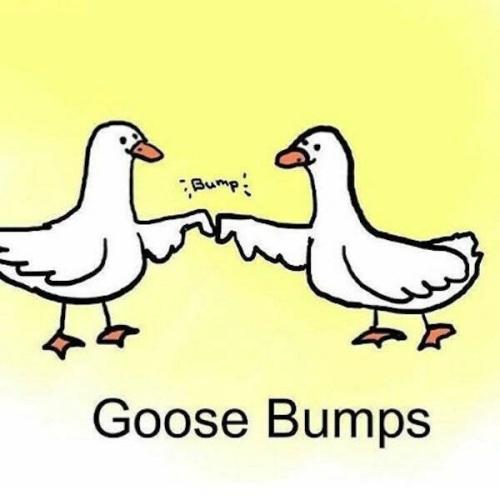 goose-bumps