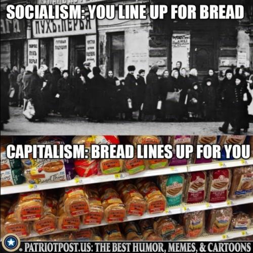 01K8YM5YY13Z11WFZZKQX30RHP