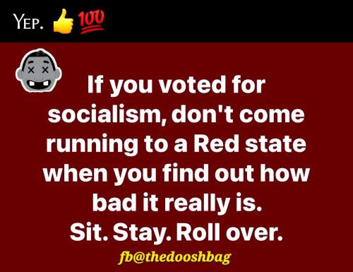 FB_IMG_1763242782796