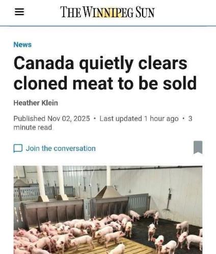 cloned meat