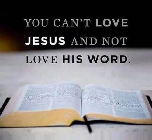 IMG_20251121_194024_841