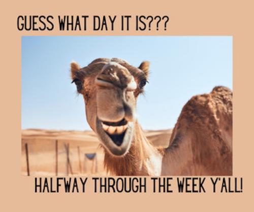 1-Hump Day!