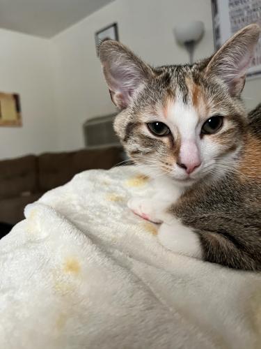 41DE3175-686C-4A57-9112-68F389DCB3C4