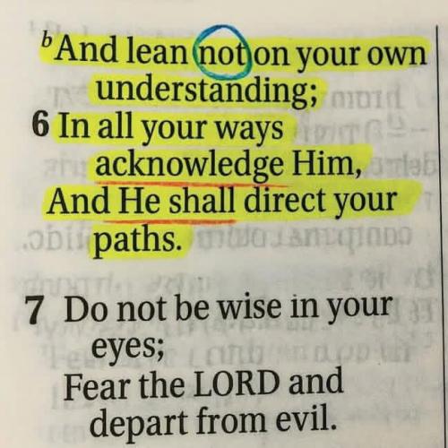 IMG_20251116_142019_671