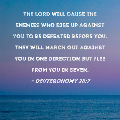 Screenshot_20251125-163824-927