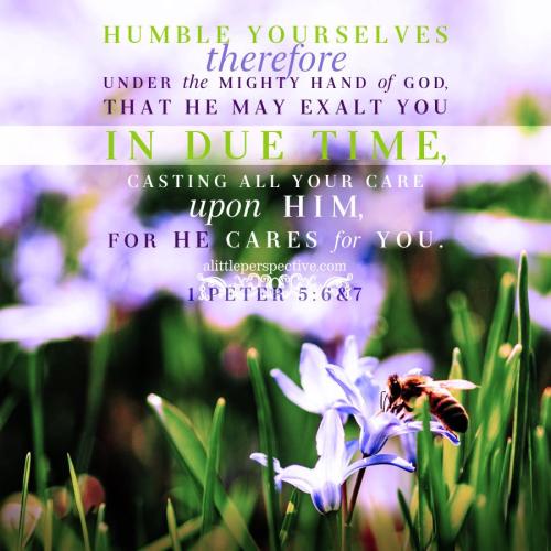 1-pet-5-6-KJV-unsplash-9x