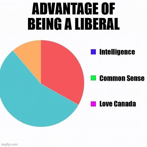 advantage of being a liberal
