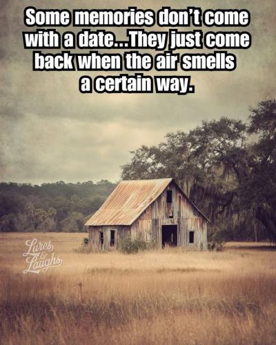 615bb66e24685207f8e9b2c029948da3