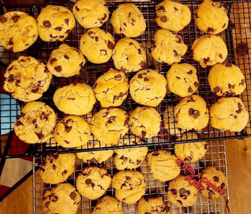 Screenshot_20251119_114857_Gallery