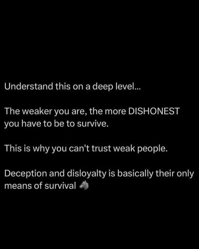 IMG_20251112_161937_623