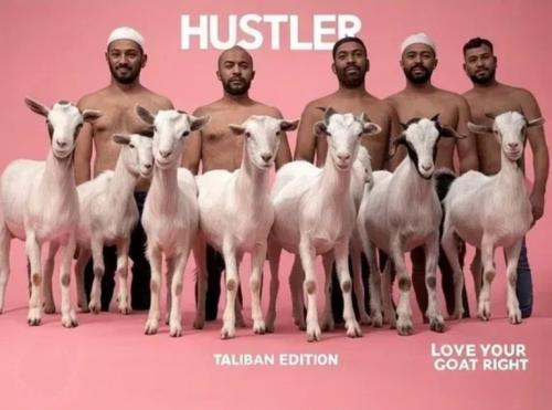 Love your goat Taliban edition.768px