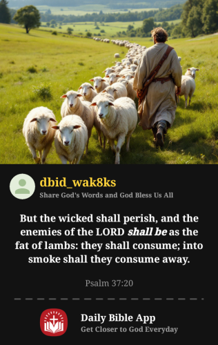 2025-11-211763754777145