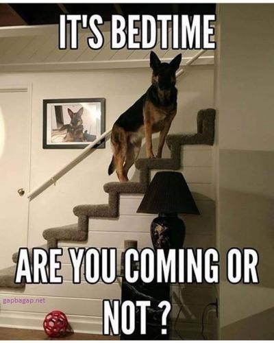 2b33a6eca7e3484bd90b1c06dd77f286