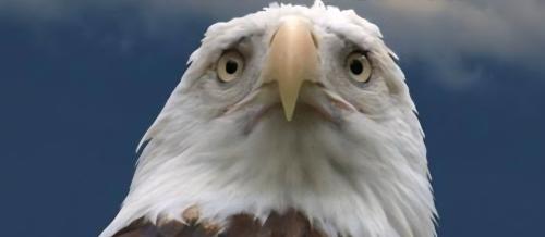 Screenshot_20251128_045856_Google