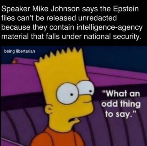 IMG_20251119_142317_585