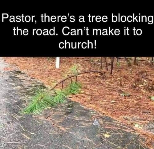 0221046c-b090-458e-96cd-65122a0c4759