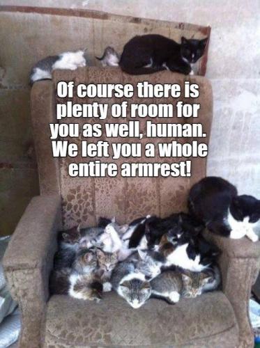 c958c91454eba274aa2796bedc1861e2