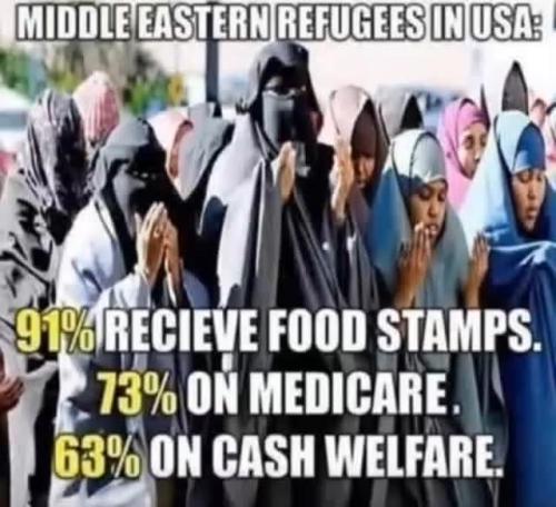 535893818_1138226268365925_8022820726425900430_n