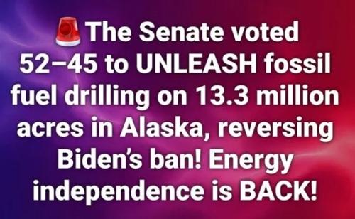 53a7b594-50e6-4020-b3fb-c8f18980992d