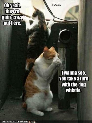 28d8f8b1459b60bdf8d8fcf833724d91