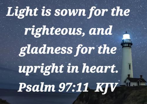 87137499-3b4a-4574-8539-0f7c3617019a