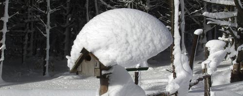 BIRD HOUSE SNOW-2