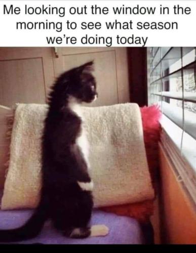 Screenshot_20251126_080236_Gallery