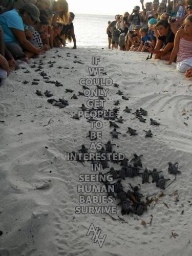 A064FA18-3BFB-4AB9-9A7A-9492AAA704C7