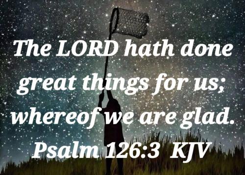 552f3b69-a50a-459e-a051-91615482e51f