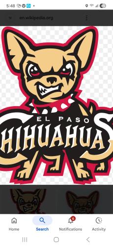 Screenshot_20251119_174813_Google