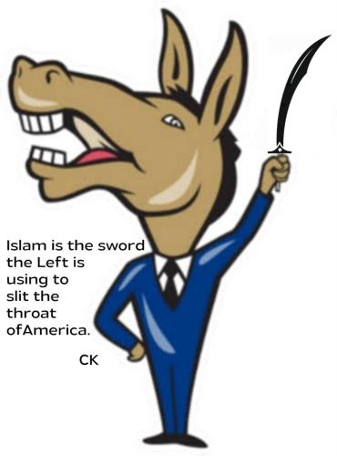 image_57914097-E010-4E64-86FB-1DCF3004756B