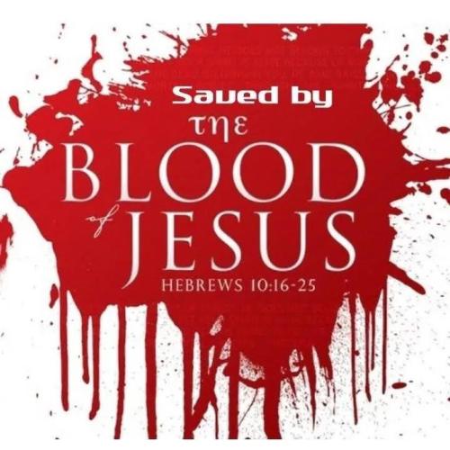 IMG_20251116_141739_511