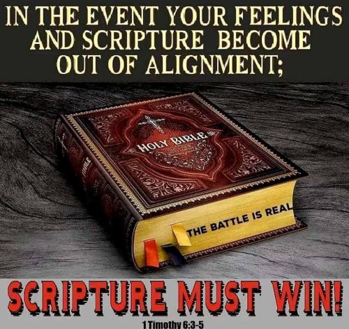 c89de6d8-c6bb-4185-8292-72220c3dbaf1