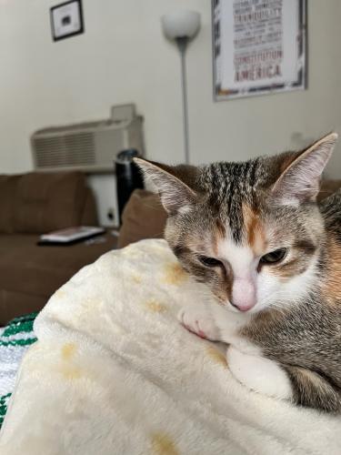 8CE1E9B0-B655-4826-9109-C2EB7361B839