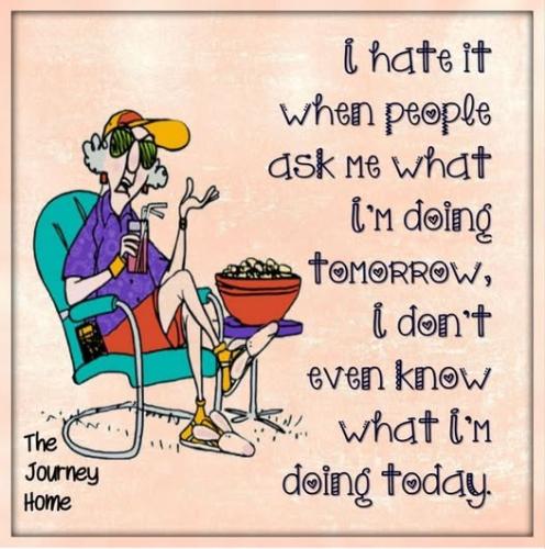 570245723_4330078123917416_6971532598781715049_n