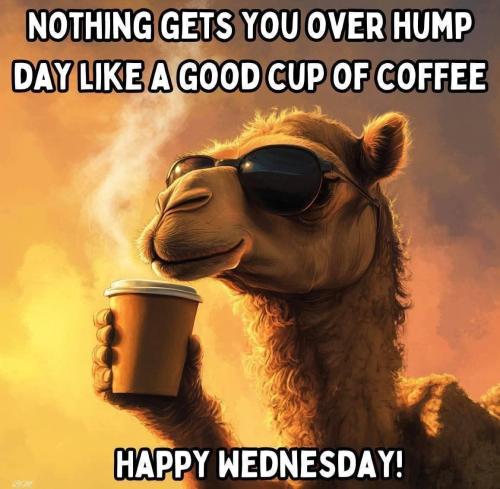 1-Hump Day