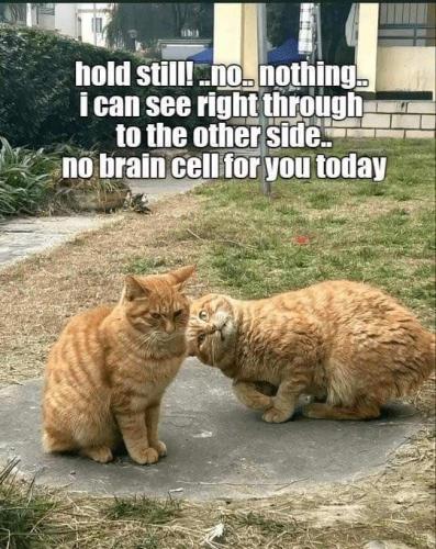 IMG_20251112_113201_945